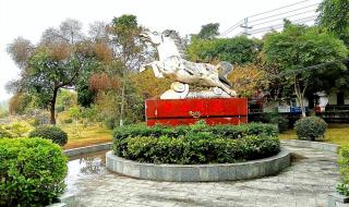 深圳园博园门票